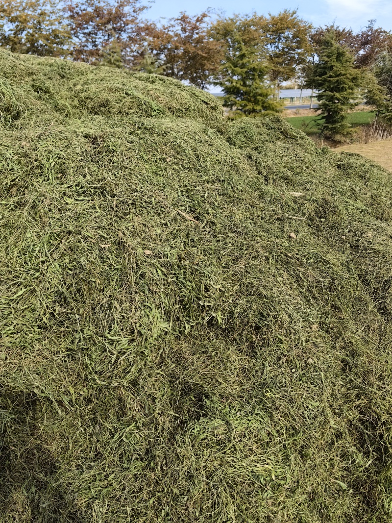 半边莲大货…需要的联系