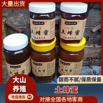 江西正宗土蜂蜜野生精品土蜂蜜天然农产品
