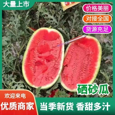 宁夏石头瓜，硒砂瓜大量上市，市场，电商大量供应！质量三包
