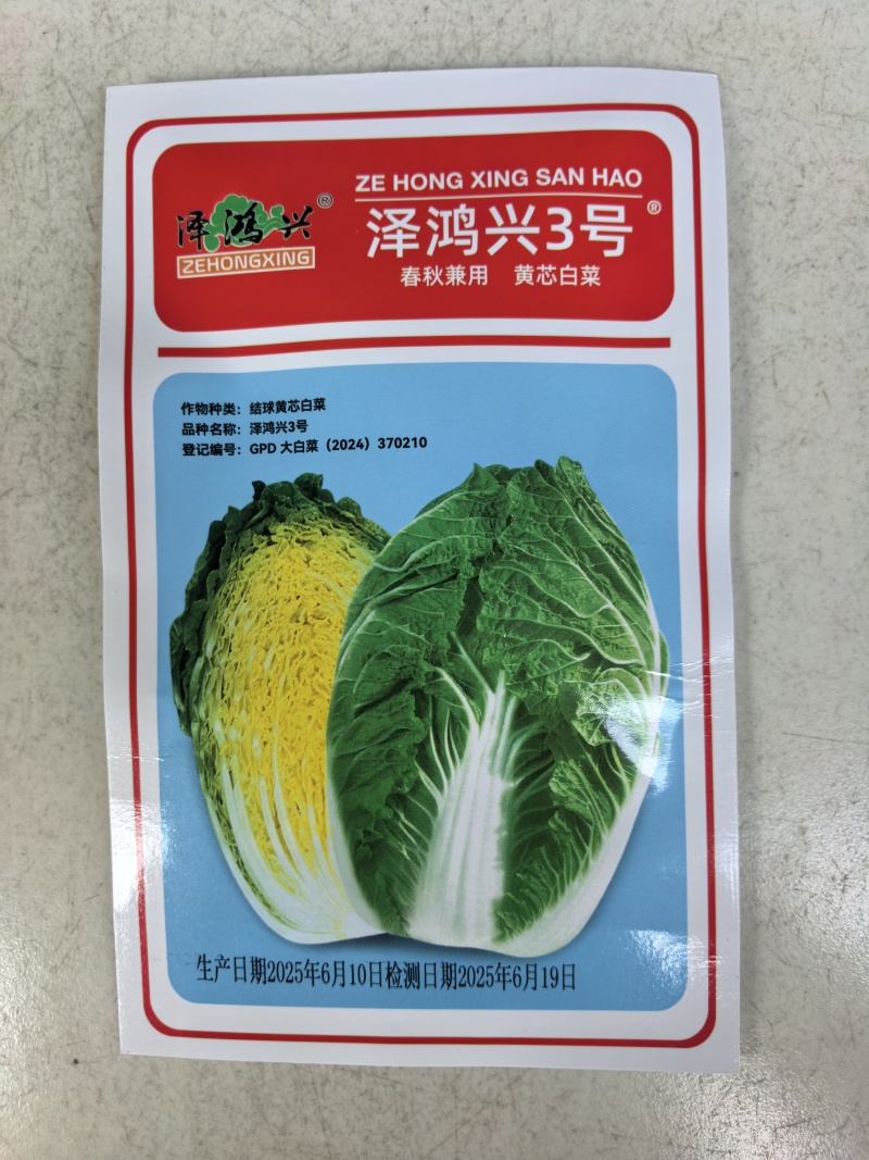 泽鸿兴3号黄芯白菜种子耐抽苔春秋泽鸿3号55天黄心大白菜