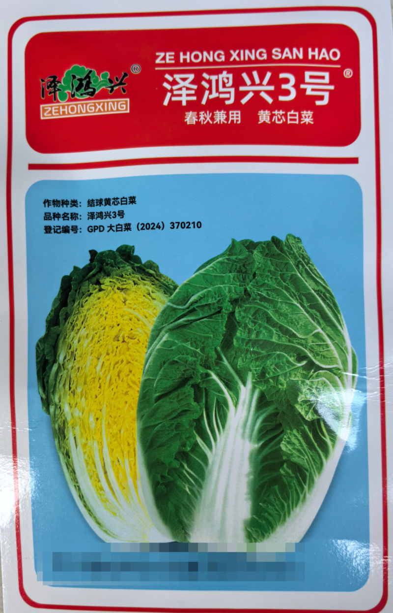 泽鸿兴3号黄芯白菜种子耐抽苔春秋泽鸿3号55天黄心大白菜