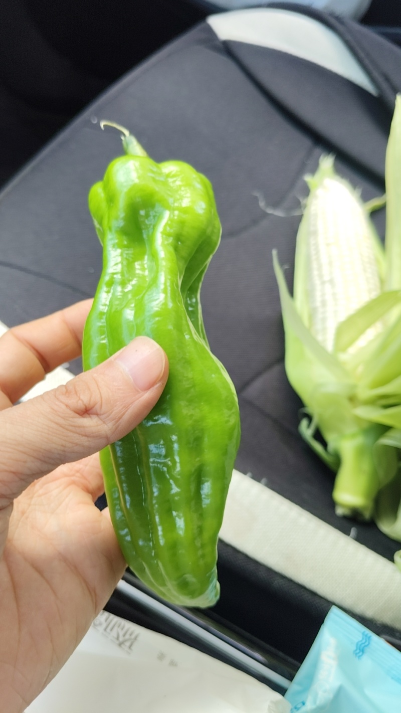 虎皮椒