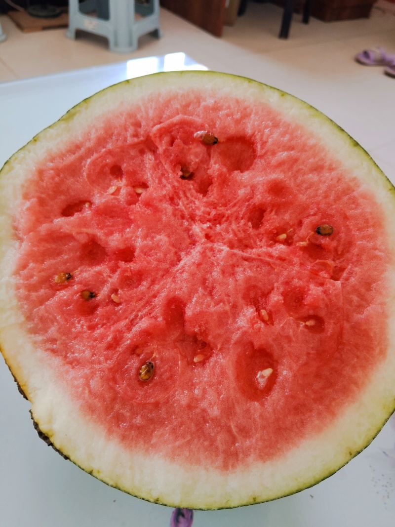沙地拳王