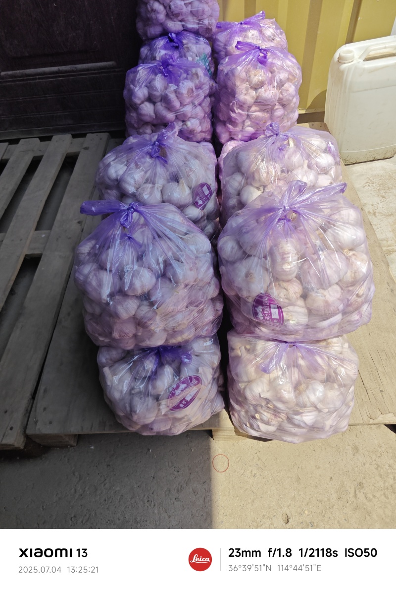 精品大蒜（白皮紫皮）持续供应