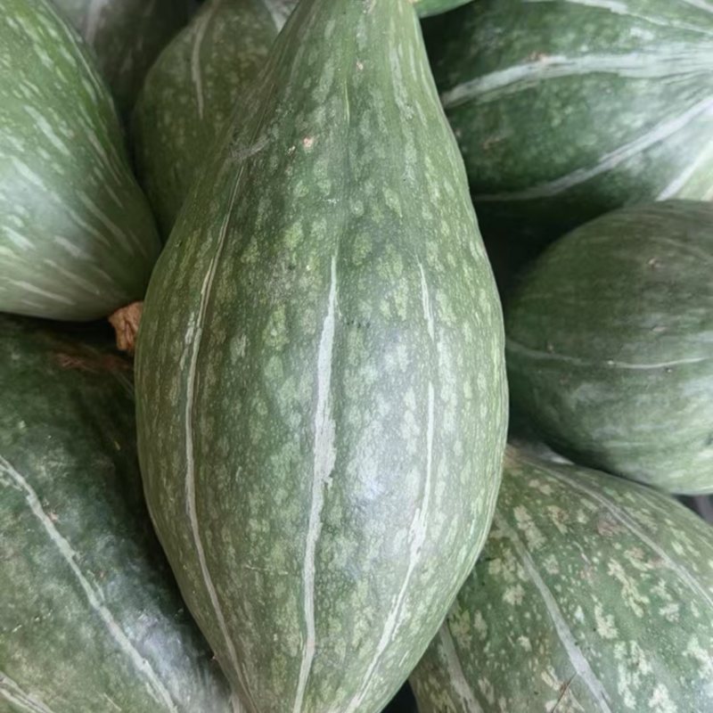 橄榄蜜南瓜