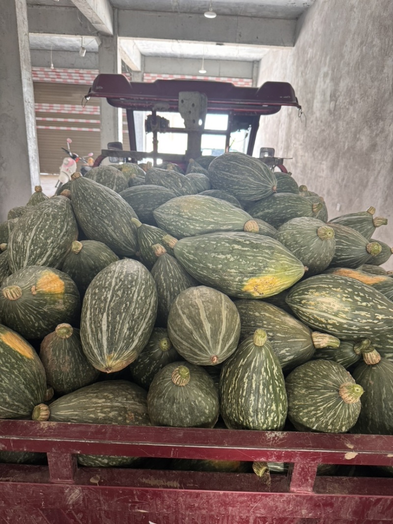 橄榄蜜南瓜