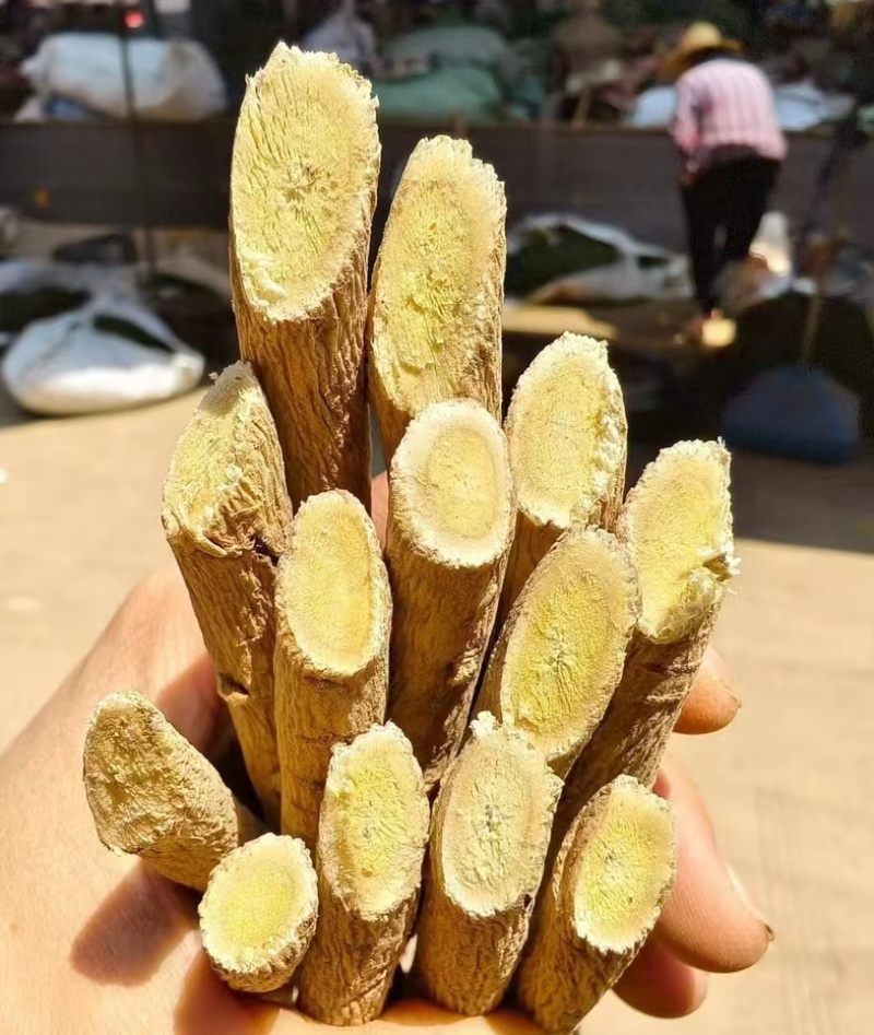 [牛]黄芪节新鲜黄芪黄芪节一手货源只发新货产地