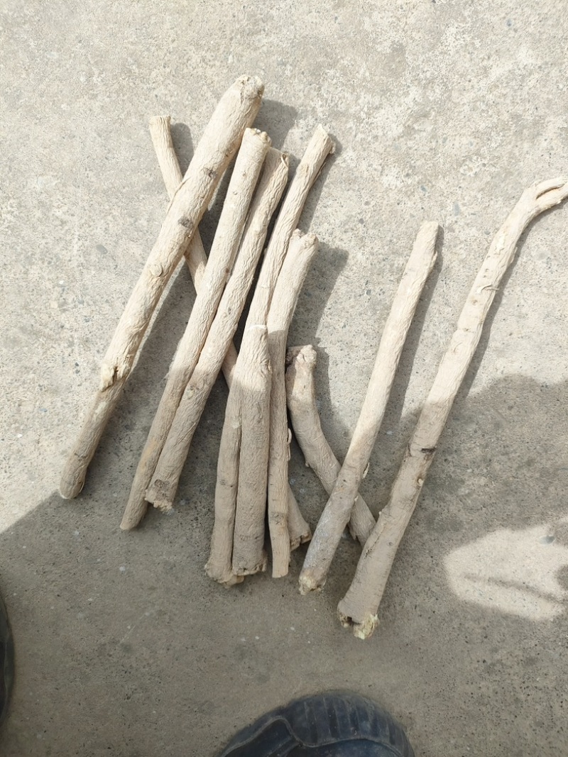 [牛]黄芪节新鲜黄芪黄芪节一手货源只发新货产地