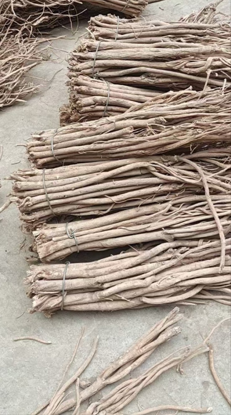 [牛]黄芪节新鲜黄芪黄芪节一手货源只发新货产地