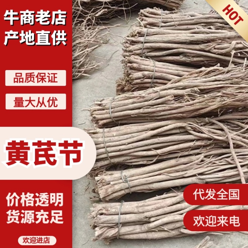 [牛]黄芪节新鲜黄芪黄芪节一手货源只发新货产地
