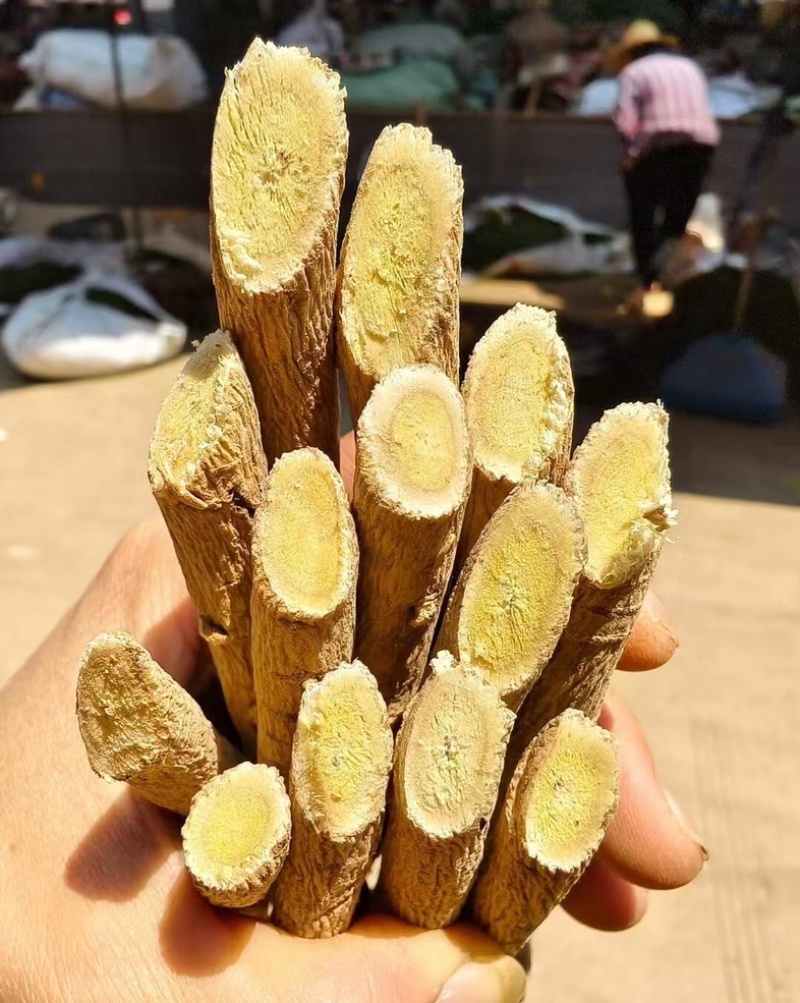 [牛]黄芪节新鲜黄芪黄芪节一手货源只发新货产地
