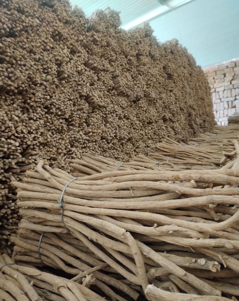 [牛]黄芪节新鲜黄芪黄芪节一手货源只发新货产地