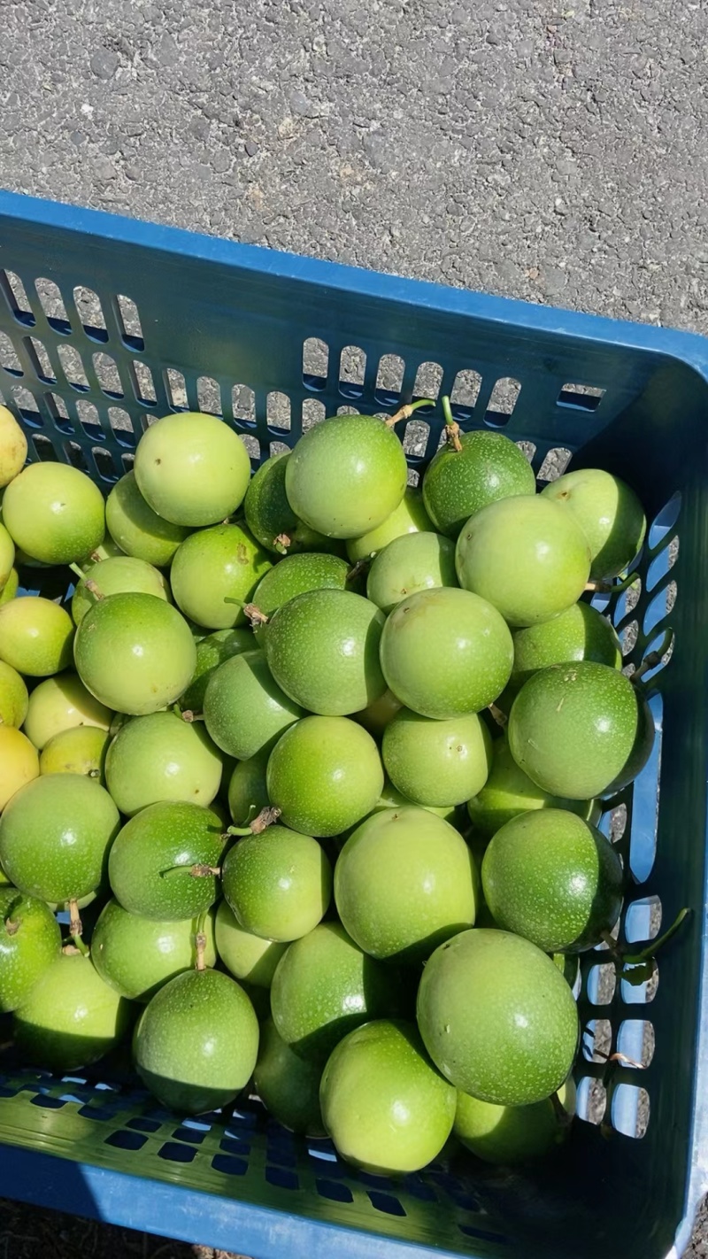 广西正宗钦蜜9号黄金百香果纯甜无酸