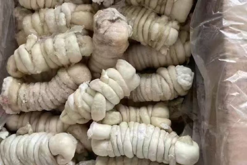羊捆肠