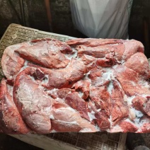 猪肺，大吨位，养殖场饲料用