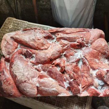 猪肺，大吨位，养殖场饲料用