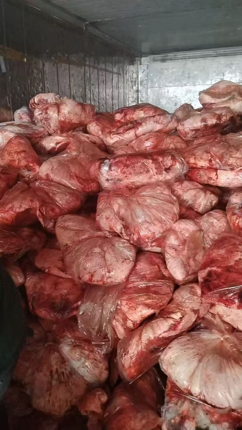 猪肺，大吨位，养殖场饲料用