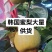 砀山产区韩国蜜梨大量供货