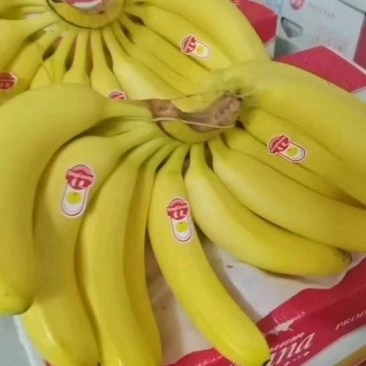 香蕉