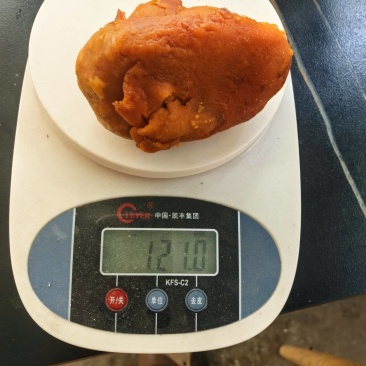 鸡宝