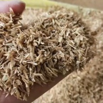 压缩稻壳/谷壳发重庆四川贵州云南