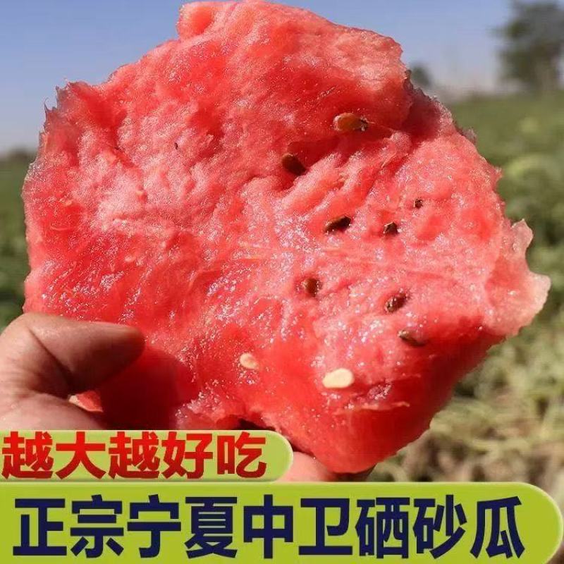宁夏硒砂瓜，金华6号，品质保证诚信经营欢迎联系
