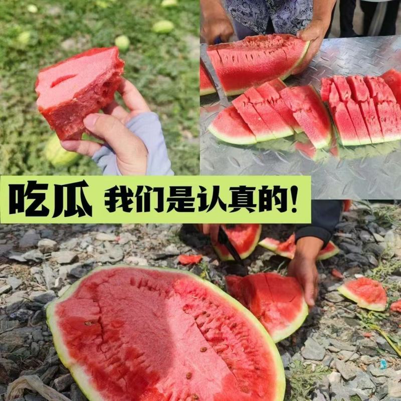 宁夏硒砂瓜，金华1号，品质保证诚信经营欢迎来电