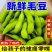 新鲜毛豆带壳农家自种毛豆荚嫩角毛豆应季时令蔬菜颗粒饱满