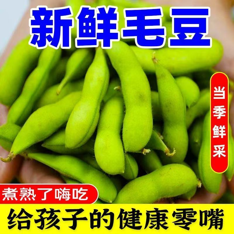新鲜毛豆带壳农家自种毛豆荚嫩角毛豆应季时令蔬菜颗粒饱满