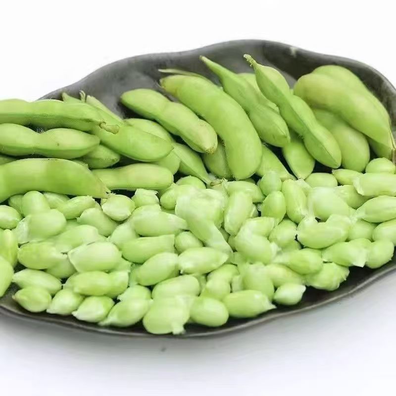 新鲜毛豆带壳农家自种毛豆荚嫩角毛豆应季时令蔬菜颗粒饱满