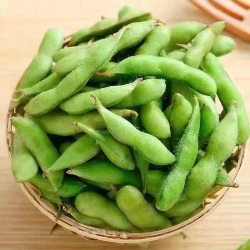 新鲜毛豆带壳农家自种毛豆荚嫩角毛豆应季时令蔬菜颗粒饱满