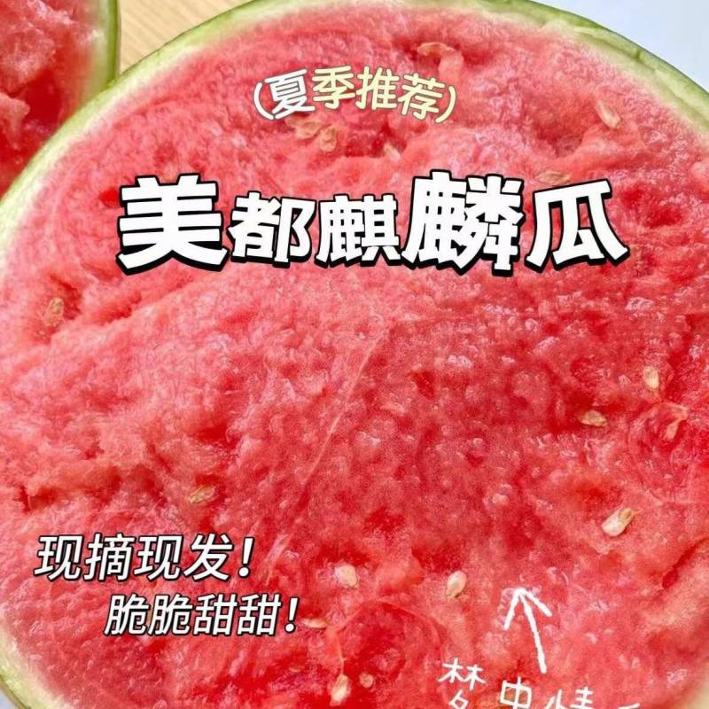 宁夏精品美都西瓜，瓜大脆甜，量大从优，欢迎来电采购