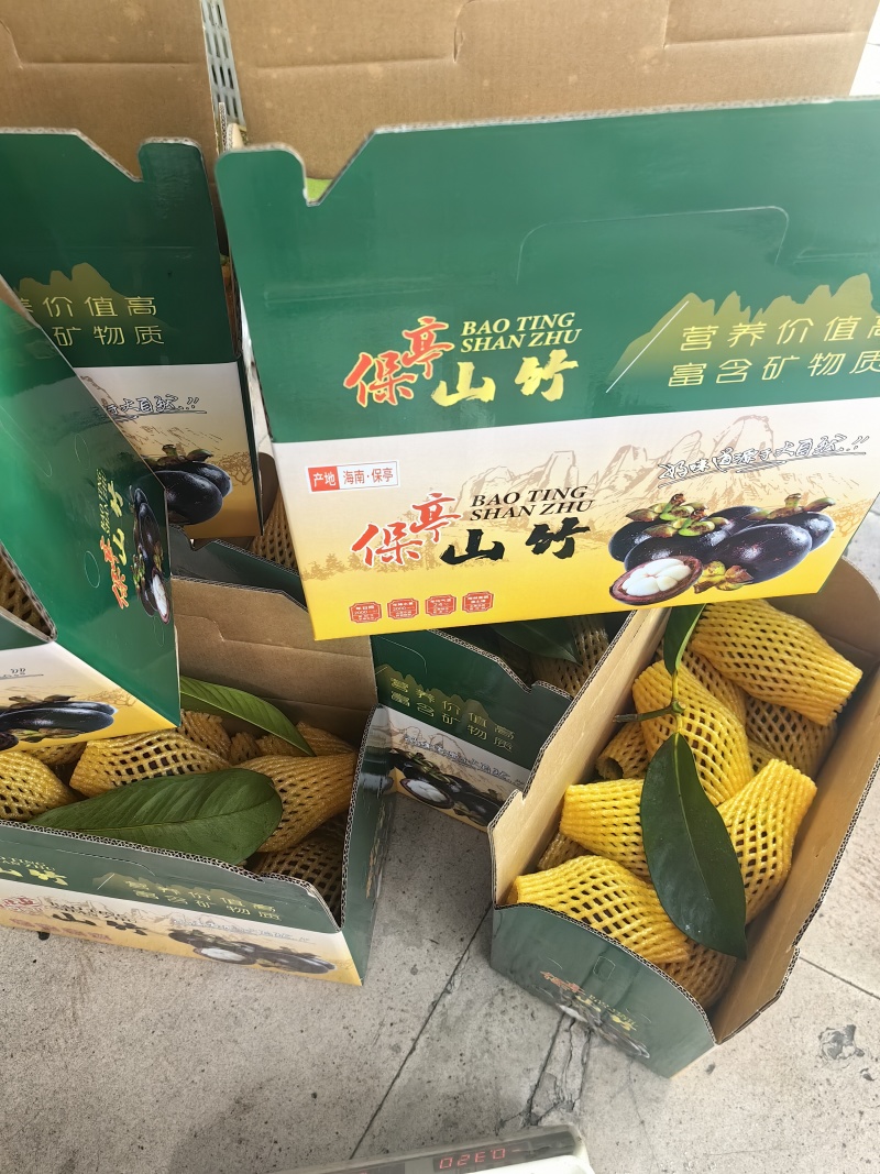 海南山竹精品新鲜电商一件代发批发