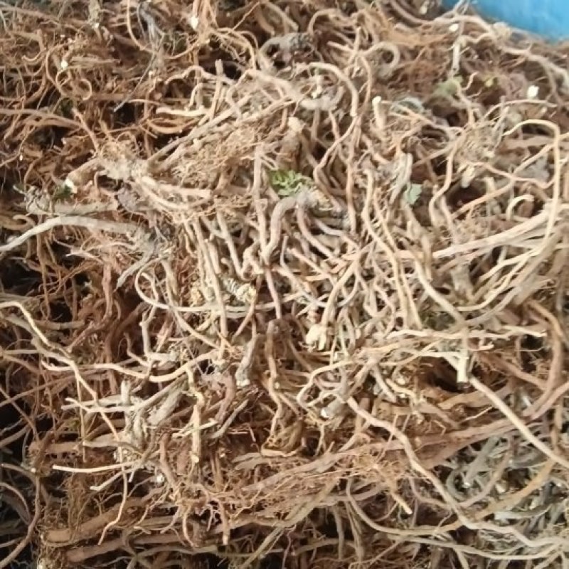 积雪草根，雷公根。