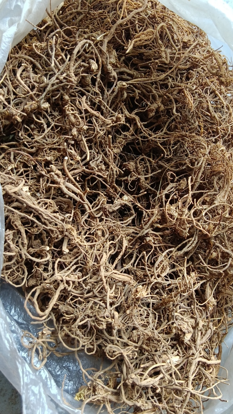 积雪草根，雷公根。
