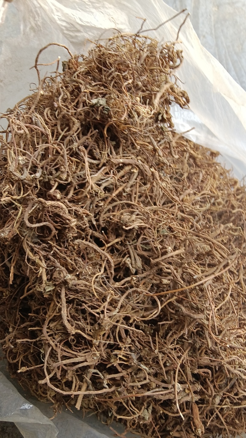 积雪草根，雷公根。