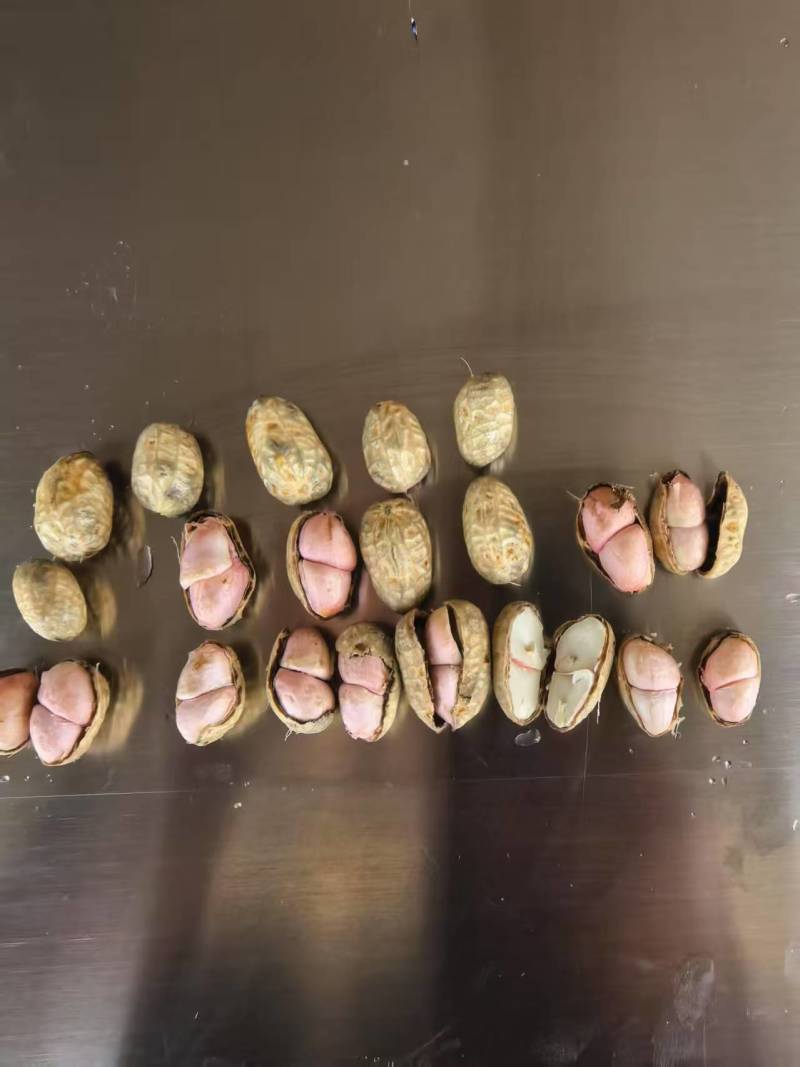 花生，刚上市罗汉果，可鲜货，也可干货，货有30吨