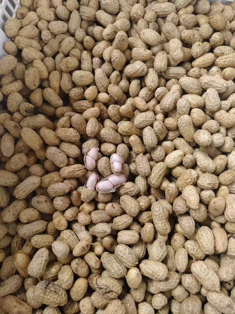 花生，刚上市罗汉果，可鲜货，也可干货，货有30吨