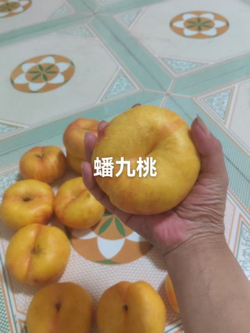 河北省邢台市广宗县陆地蟠九桃大量有货，口感脆甜，有需要的