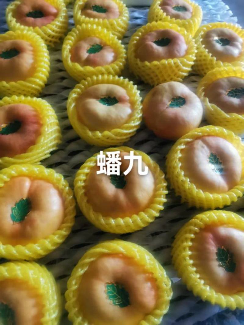 河北省邢台市广宗县陆地蟠九桃大量有货，口感脆甜，有需要的
