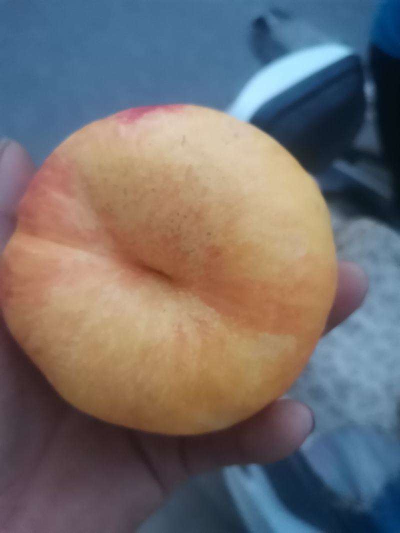河北省邢台市广宗县陆地蟠九桃大量有货，口感脆甜，有需要的