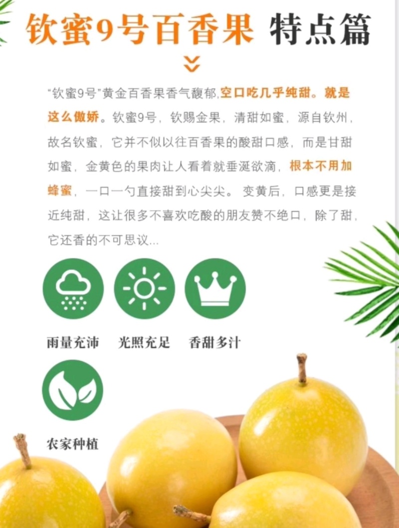 广东梅县百香果钦蜜9号百香果果香四溢产地直供量大从优
