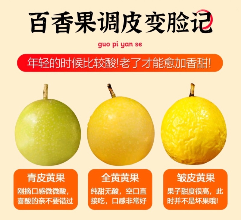 广东梅县百香果钦蜜9号百香果果香四溢产地直供量大从优