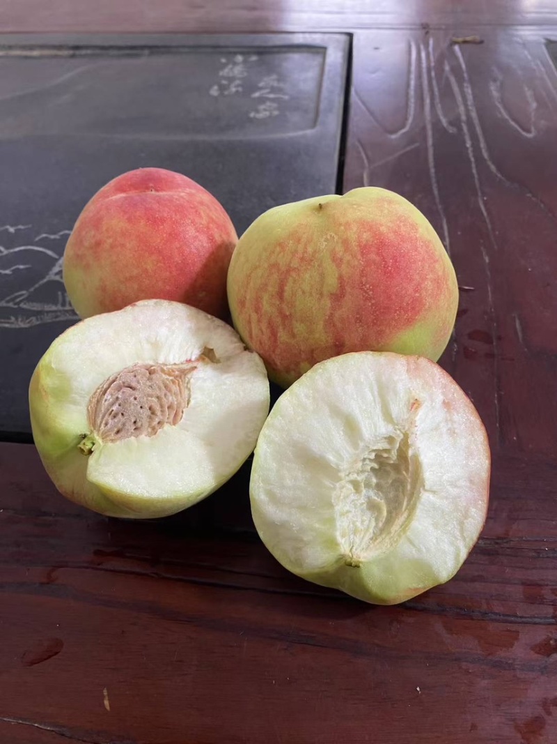 河南焦作温县贵妃香水蜜桃，日出货量大