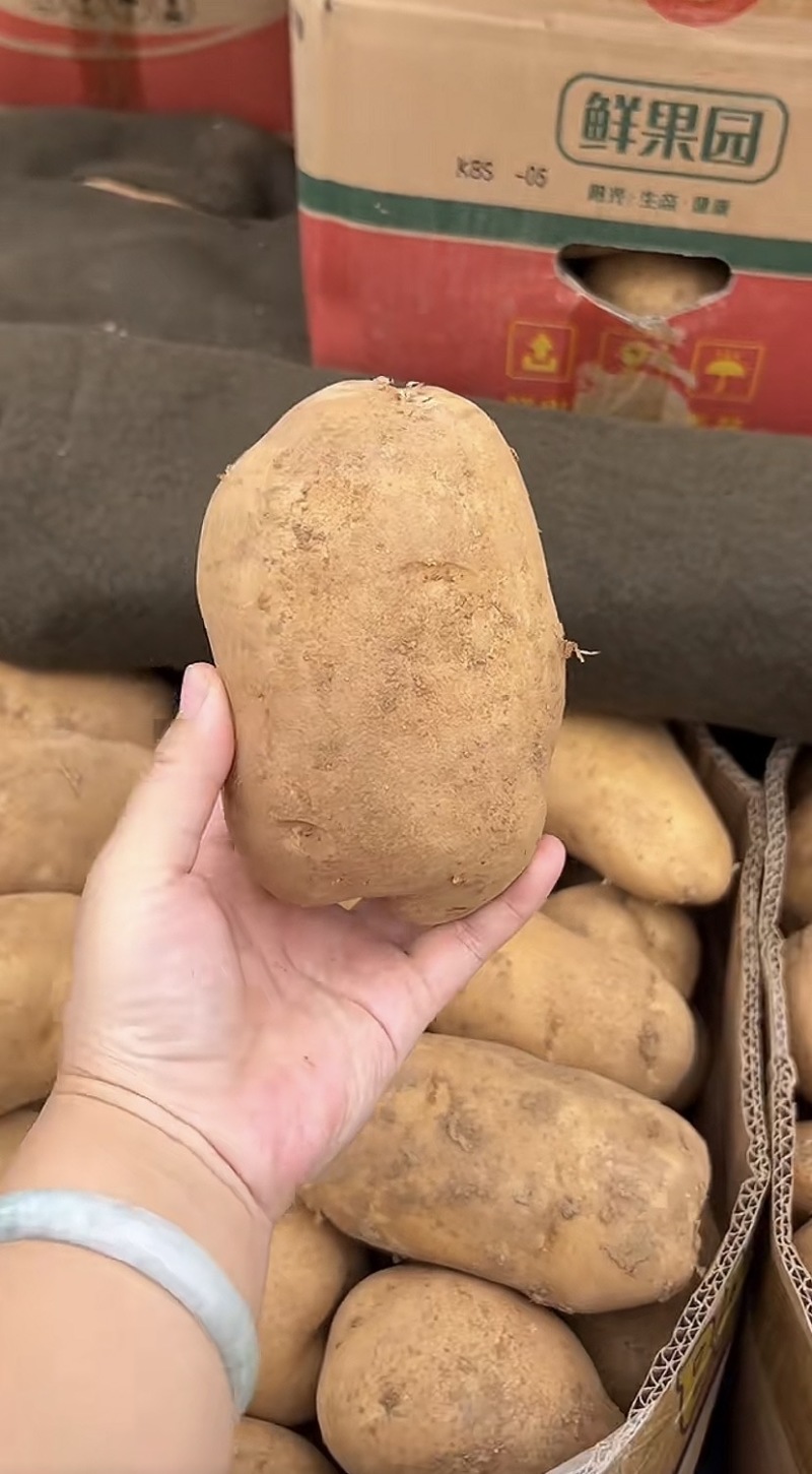 黄皮黄心沃土五号土豆，产地直供，量大便宜，品质好有保证
