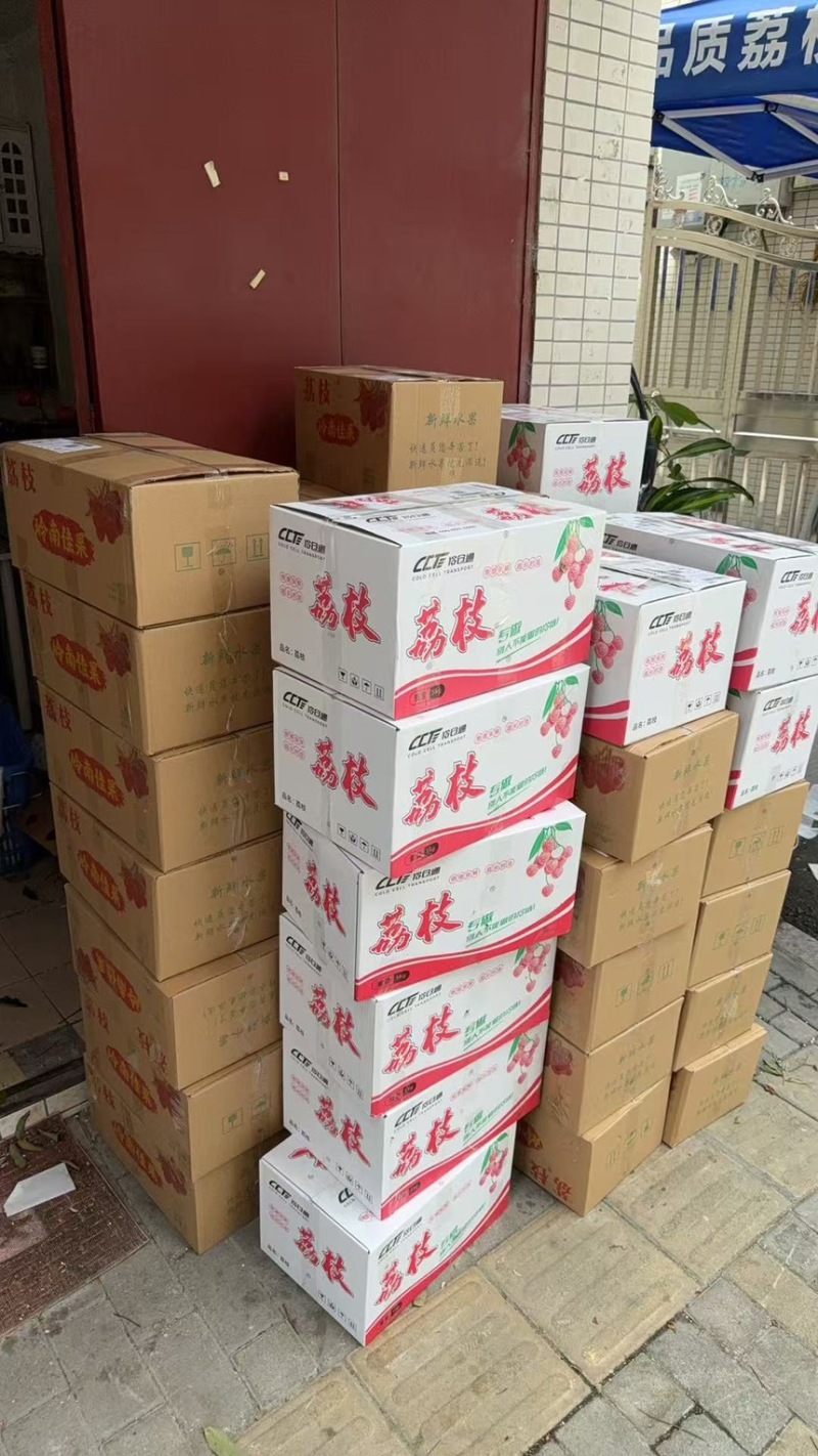 桂味荔枝