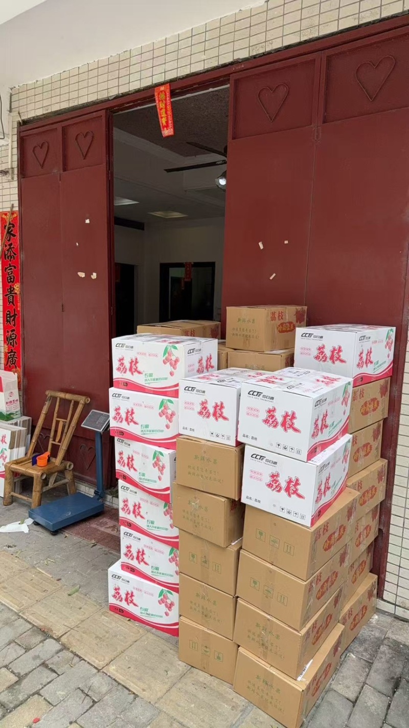 桂味荔枝