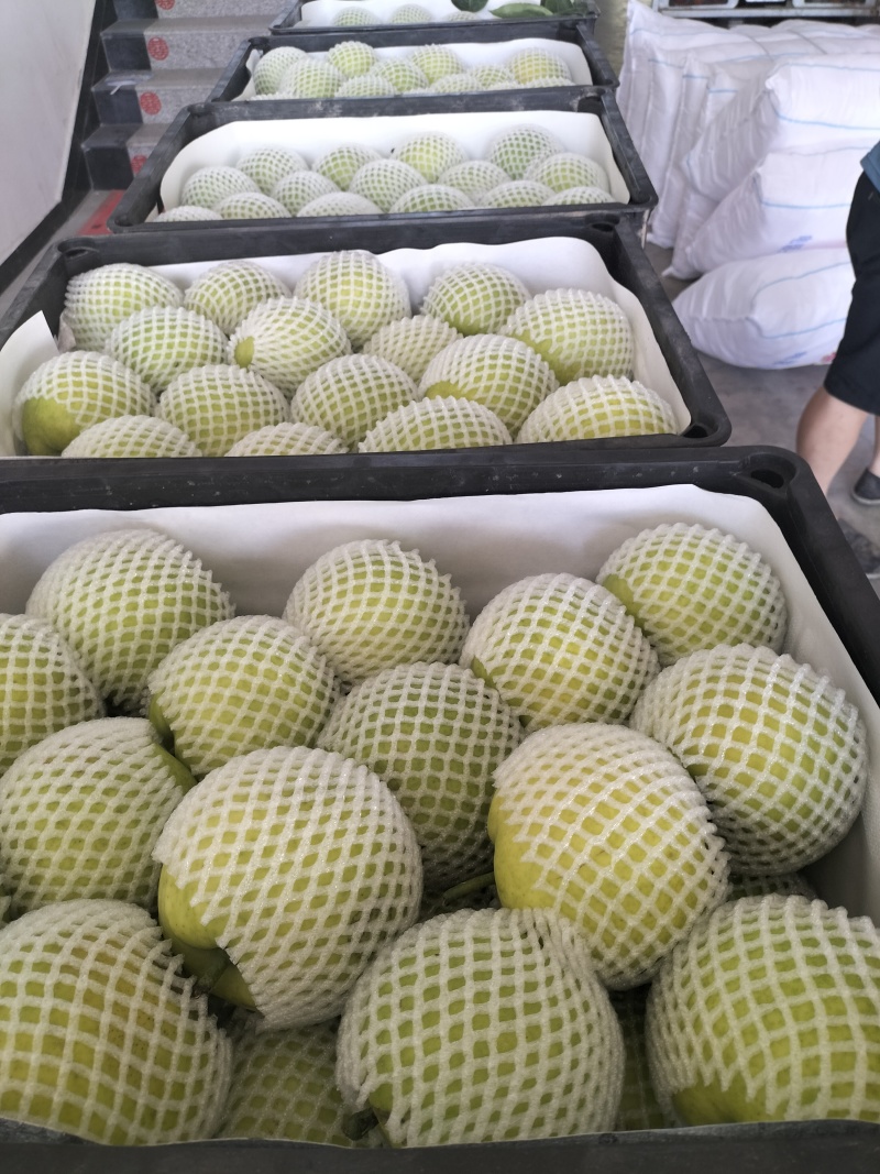 翠玉梨纸袋，果肉细无渣，汁多甘甜，果面干净，欢迎电话咨询