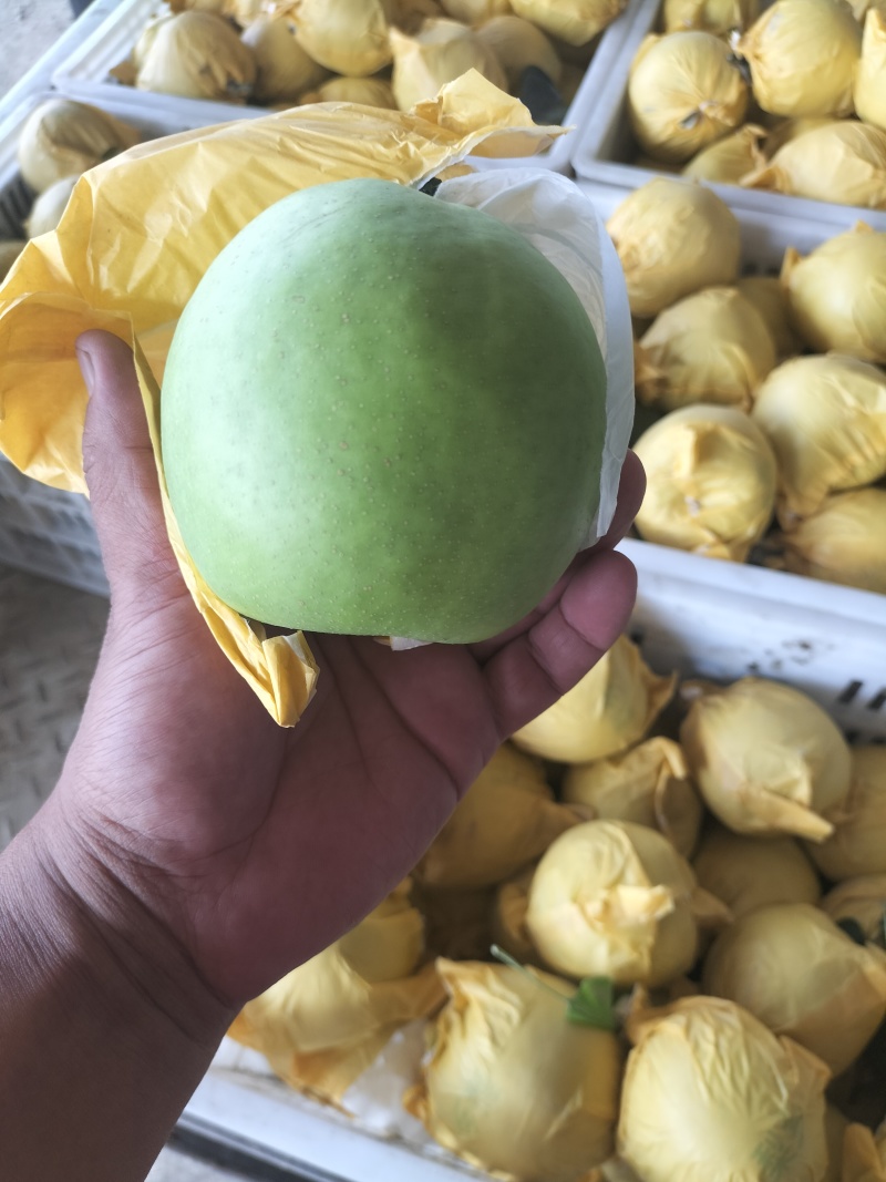 翠玉梨纸袋，果肉细无渣，汁多甘甜，果面干净，欢迎电话咨询