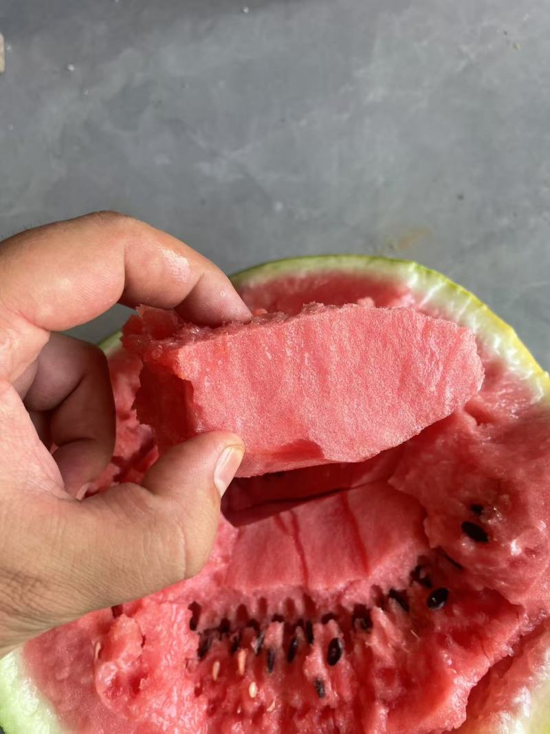精品美都西瓜，全国代发，对接各大水果档口，小贩勿扰！